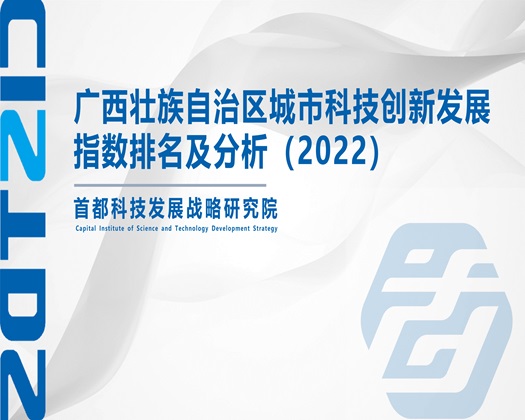 萝莉91wwwwwwww【成果发布】广西壮族自治区城市科技创新发展指数排名及分析（2022）